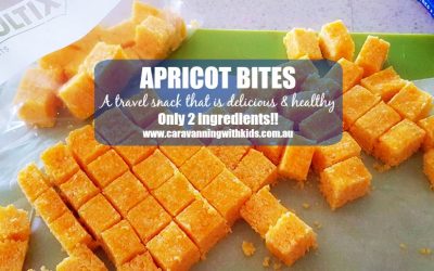 Apricot Bites – Only 2 ingredients!